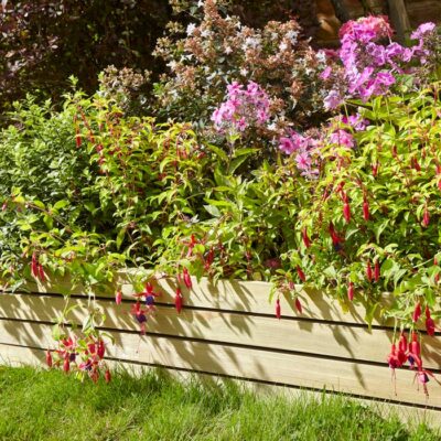 8 inch Ledbury edging panel in garden setting